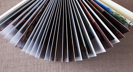 Flipbook