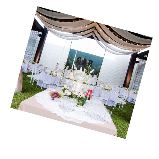 http://www.partypaparazzi.com.mx/wp-content/uploads/2019/11/cobertura.png